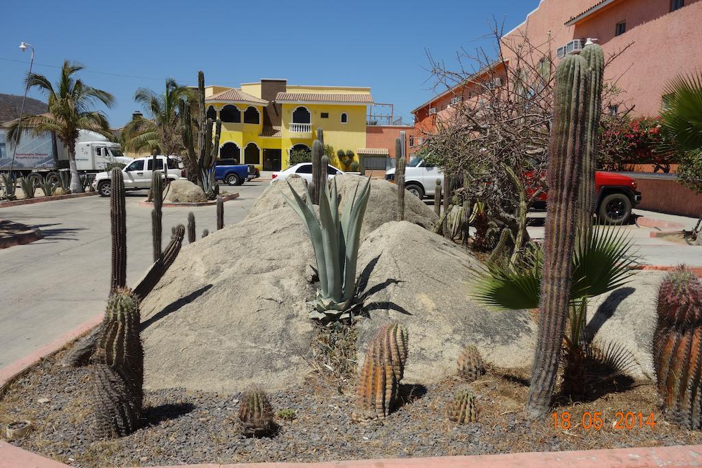 Hôtel Oasis Los Cabos à Cabo San Lucas Extérieur photo