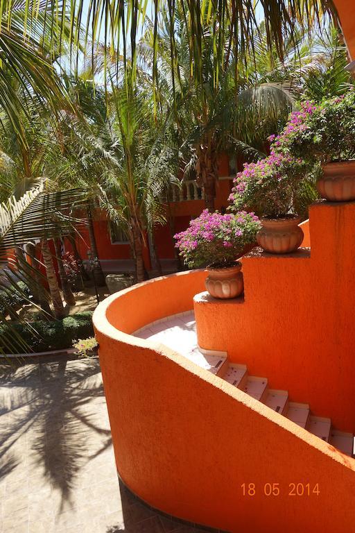 Hôtel Oasis Los Cabos à Cabo San Lucas Extérieur photo